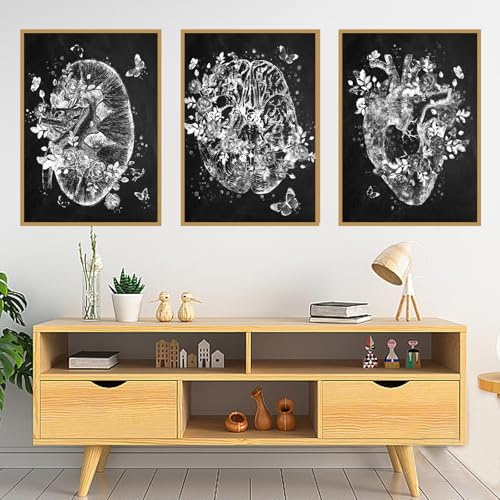 KAIDAARTLH Poster astratto, anatomia, organi, cuore, cervello, studio medico, stampa artistica da parete, per ospedale, clinica, decorazione senza cornice(A,3x20x30cm)