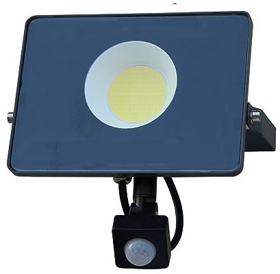 Proyector LED Reflector LED Lámpara De Inducción PIR 30W 50W 100W Proyector De Camino De Pasillo Interior Y Exterior Sensor De Movimiento Iluminación De Inundación Iluminación de paisaje RGB(Cold Whit