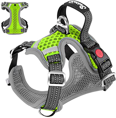 Eyein Hundegeschirr für Kleine Mittelgroße Hunde, Air Mesh Atmungsaktiv Brustgeschirr mit weichem Griff und Abschließbare Karabiner, ausbruchsicher reflektierend Hund Geschirr für Welpen, Grün, M
