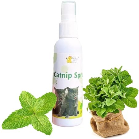 Rakiuty Herbe à Chat Spray,Spray d'herbe à Chat,Herbal Cat Joy Spray,Espace de Vie Heureux pour Votre Chats,100% Naturel,50ml