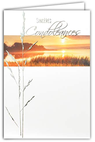 64-1057 Carte Sincères Condoléances Gris Argenté Brillant Décès Deuil Paysage Paisible Soleil Couchant Eau Lac Herbe Graminée Fabriqué en France, 64-1057