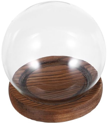 GOOHOCHY Cupola in Vetro con Base in Legno per Fiori Eterni, Cloche Trasparente a Forma di Campana, Esposizione Decorativa per Bouquet da Sposa e Piante Essiccate, Protezione Antipioggia