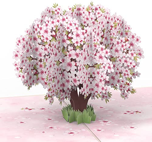 papercrush® Pop-Up Karte Kirschblüten Baum - 3D Geburtstagskarte mit Sakura Blüten für Frau, Freundin & Partnerin, Handgemachte Glückwunschkarte zum Jahrestag & Hochzeitstag, Karte zur Geburt Mädchen