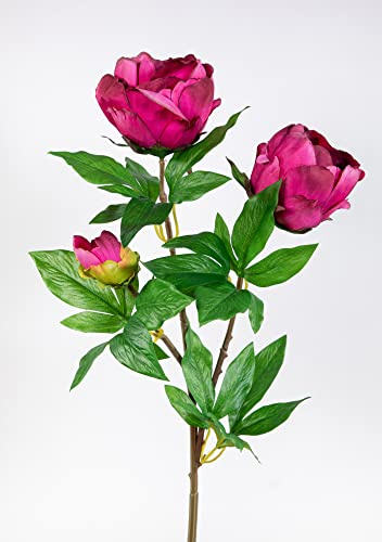 Künstliche Pfingstrose Nature 68cm mit 3 Blüten Fuchsia GA – Realistische Kunstblume aus Textilfaser – Dekozweig für Vase & Strauß – Hochwertige Seidenblume wie echt