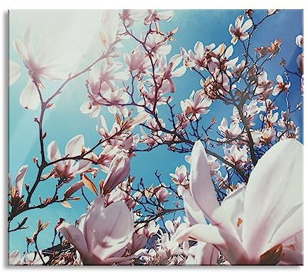 Zarte Rosa Magnolie Blüten Herdabdeckplatte & Spritzschutz aus Echtglas | Für Herd-Kochfelder | 60x52 cm