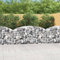 HOMTAKIE Panier de gabions arqué 200x50x80/100 cm Fer galvanisé