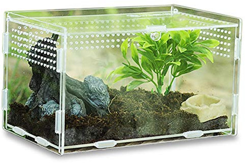 Keweni Insect Feeding Box, Acryl-Terrarium-Behälter für Spinnenechsen-Frosch-Skorpion, Tragbarer Kriechender Haustier-Reptilien-Lebensraum, Anti-Flucht-Design (klar1)