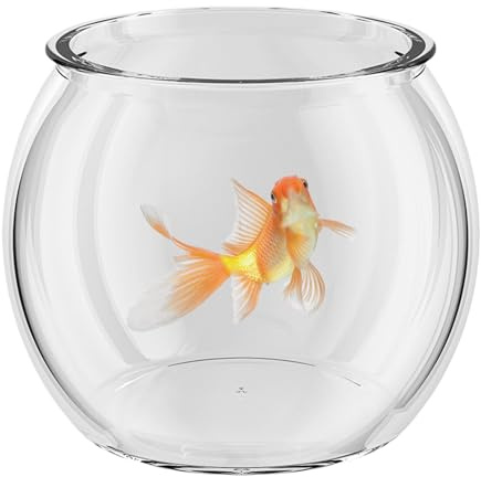 Tistanta - Aquarium de bureau transparent, habitat aquatique compact | Design de bol en verre de table élégant, maison de poisson minimaliste pour décoration de salon M