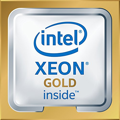 Intel BX806736130 Processeur Xeon Gold 6130 125 W Multicolore (certifié reconditionné)