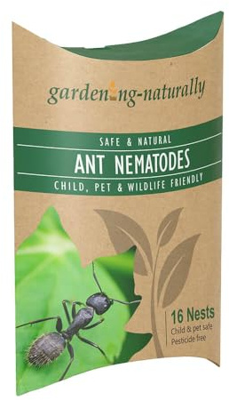 Ant Nematodes for Lawns & Gardens Natural Safe Control of Ants Treats 16 Nests from Gardening Naturally