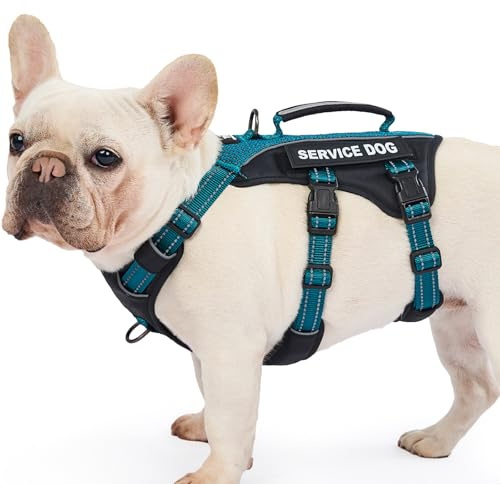 Huntboo Hundegeschirr Mittelgroße Hunde, Sicherheitsgeschirr Hund Ausbruchsicher mit 6 Patches, Service Geschirr Hund mit Griff, Anti Zug Hundegeschirr, Verstellbar, 2 D-Ringe, Reflektierend(Petrol,M)