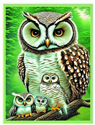 Meecaa Kreuzstich-Sets 11 Count gestempelt, Eule Tierjunges Stickerei-Kit mit Zubehör vorgedruckt (36 x 46 cm) (Eule 1)