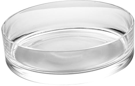 Milisten Vase Verre Transparent pour Plantes Succulentes Pot De Culture Hydroponique pour Décoration Intérieure sur Table De Salle à Manger