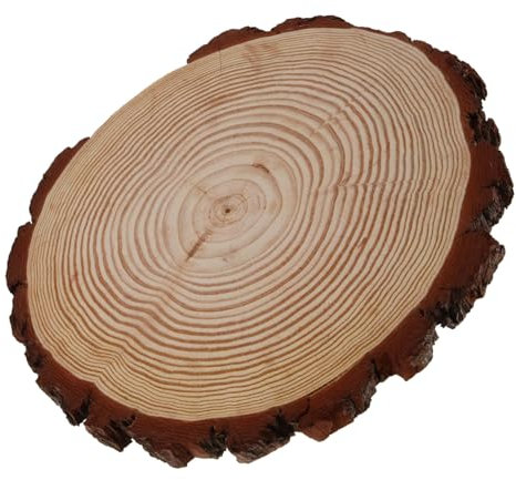 CIYODO 12 Zoll Garten Trittsteine Holzoptik Für Außenbereich - Wetterfeste Dekorative Steine Für Gartenweg Und Diy Pfadgestaltung