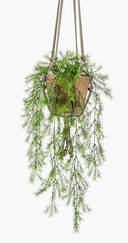 artplants.de Artificial hanging basket SILIJA with asparagus sprengeri, green, 30/75cm - Artificial trailing plant/Silk foliage