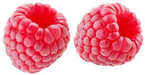 Himbeere Rubus idaeus ‘Ottawa’ 60–70 cm – Herbst-Himbeere im Topf, winterhart, aromatische Früchte, ertragreich, ideal für Garten & Balkon