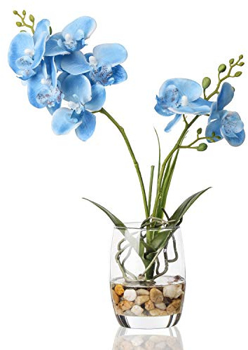 Alyphyly Fiore artificiale Bonsai con vaso di vetro vivido orchidea composizione fiori Phalaenopsis vaso per decorazione casa ufficio tavolo centrotavola decorazioni casa (vaso di vetro/orchidea blu)