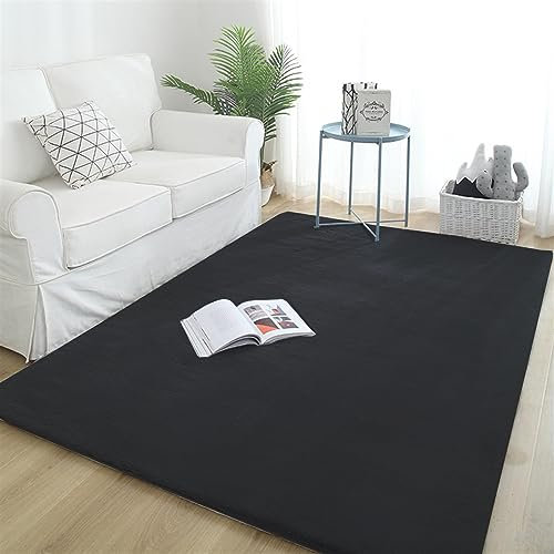 Hochflor Teppich, Einfarbig, Flauschiger Langflor Teppich, Shaggy Flokati, Rechteckig, Pflegeleicht, Wohnzimmerteppich - Fellteppich - Modern Kunstfell Carpet für Schlafzimmer,Schwarz,200x300 cm