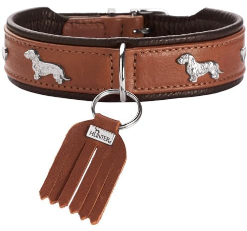 Hunter Teckel-Halsband MÜNCHEN, Farbe: Cognac/schwarz, Leder, edle Dackel-Besätze, weich und robust, fellschonend, luxuriös, ökologisch hergestellt, nachhaltig, Made in Germany, Größe: 37