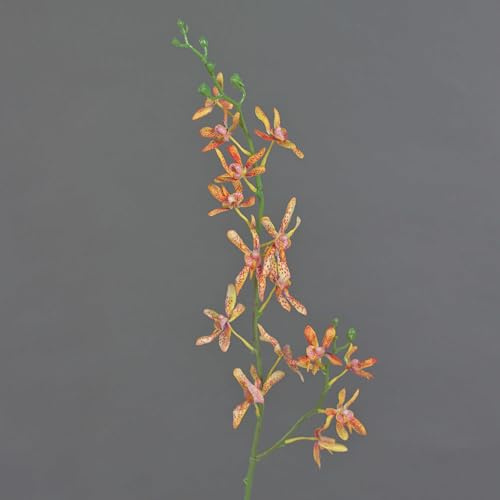 artplants.de Ramo artificiale di orchidea Cattleya TRASSA, 80 cm