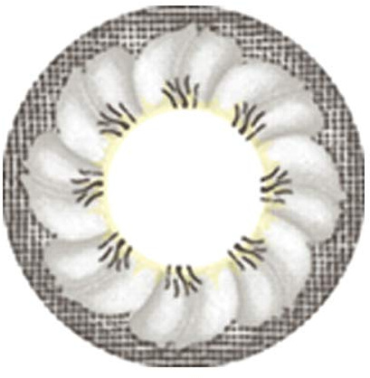 Matlens – EOS Farbige Kontaktlinsen ohne Stärke grau gray Big eyes Big Flower 2 Linsen 1 Kontaktlinsenbehälter 1 Pflegemittel 50ml