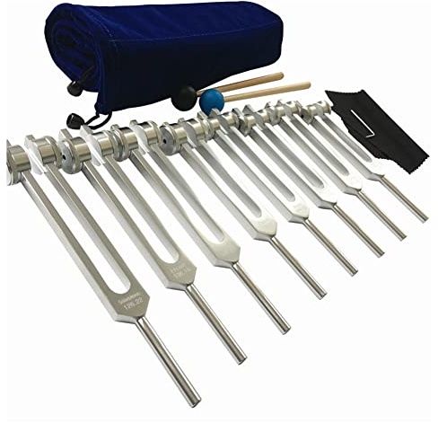 MRNHA Ensemble de 8 Diapasons Chakra Diapason Argent Chakra Diapason pour la Guérison, pour la Méditation