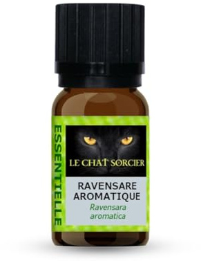 Le Chat Sorcier - Huile Essentielle de Ravensare Aromatique 10ml 100% Pure (Ravensara Aromatica)