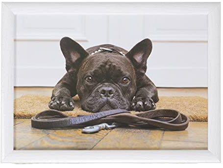 Mars & More - Knietablett, Tablett - französische Bulldogge - Maße (LxBXH): 43 x 33 x 7 cm