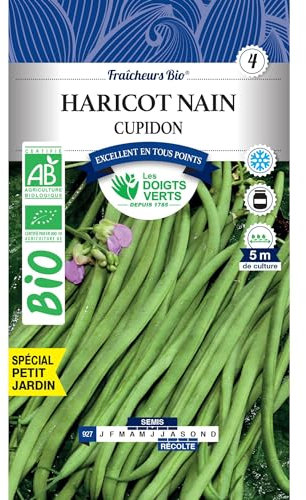 Les doigts verts Graines Haricot Nain Cupidon Bio 100g