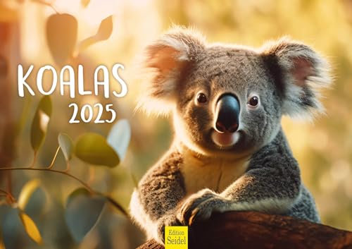 Edition Seidel Premium Kalender Koalas 2025 Format DIN A3 Wandkalender Tierkalender Australien Koala Eukalyptus Wald Säugetiere