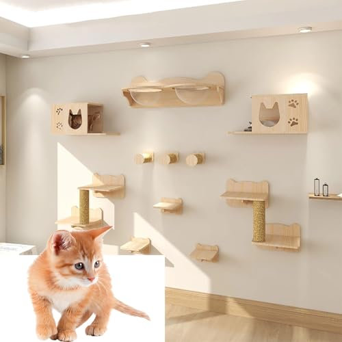 ZSXZCBDQ Cat Climbing Wall Set, Wall Mounted Cat Hammock, Cat Wall Step Climbing Frame, Cat Climbing Frame Play Tower,(Package 5)