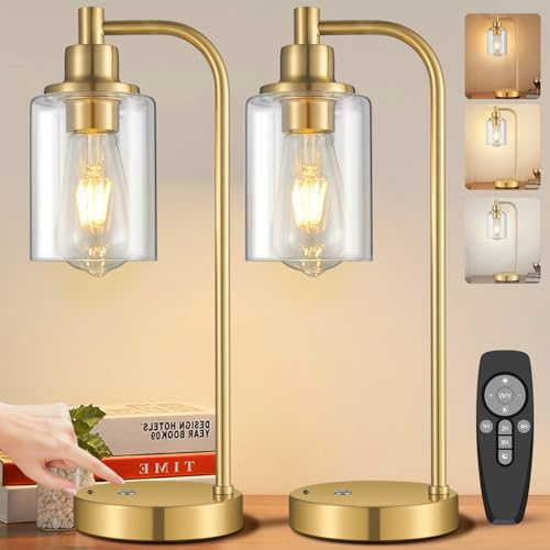 2 Pezzi Lampada da Tavolo Senza Fili a Batteria, Lampada da Tavolo Touch Dimmerabile con Telecomando, USB Ricaricabile 8000mAh, Paralume in Vetro, Lampada da Comodino, Lampada da Lettura Notturna, Oro