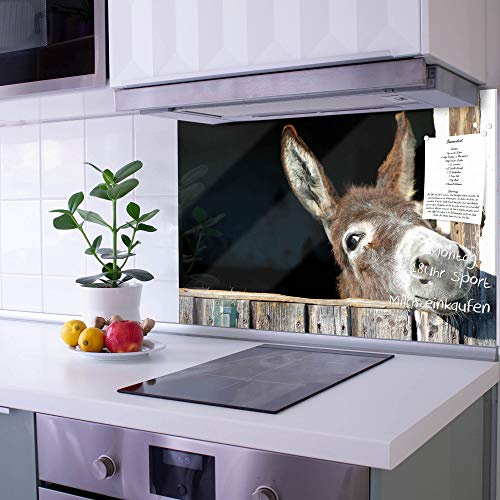 banjado Küchenrückwand Glas ohne Bohren 75x50cm – Glasrückwand Küche mit Motiv Nicki/Spritzschutz Küchenrückwand Glas/selbstklebende Küchenrückwand Platte - magnetisch & beschreibbar