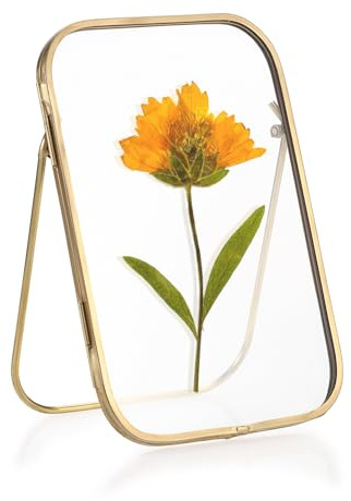 SUMTree Gold Fotorahmen aus Metall, Doppelseitiger Glas Bilderrahmen, Glasrahmen für Gepresste Blumen, Pflanze Probe Clip Glasbilderrahmen für Wohnzimmer, Hochziet, Weichnachten, Neujahr 4x6 inch