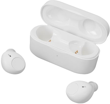 Sxhlseller L' Wireless con Cancellazione del Rumore Aiuta L'efficiente Amplificatore a 32 con Custodia di Ricarica per Riunioni All'aperto
