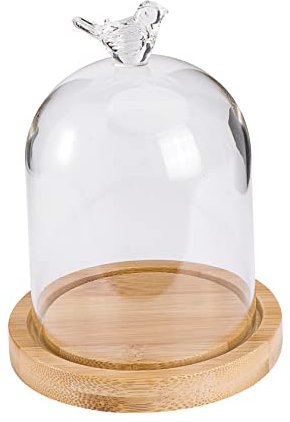 Ciieeo Dried Flower Display Glass Cover Mit Holzsockel Transparente Glasglocke Für -projekte Für Trockenblumen Und Dekorationen Für Und Besondere Anlässe