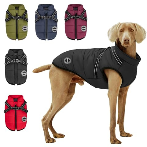 Aimydog Hundemantel Winter, Wärme Hundejacke Mit Brustgurt Gurt Winddichte mit bauchschutz, Haustier Outdoor Reflektierend Hundeweste mit Fleece Gefütterte für Kleine (Schwarz, L)