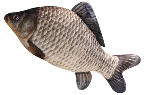 Champracer 3D Fisch Kissen Großes Plüschkissen für Kinder, lustiges Fischkissen, weiches Kuscheltier (Karpfen B, 30 cm)