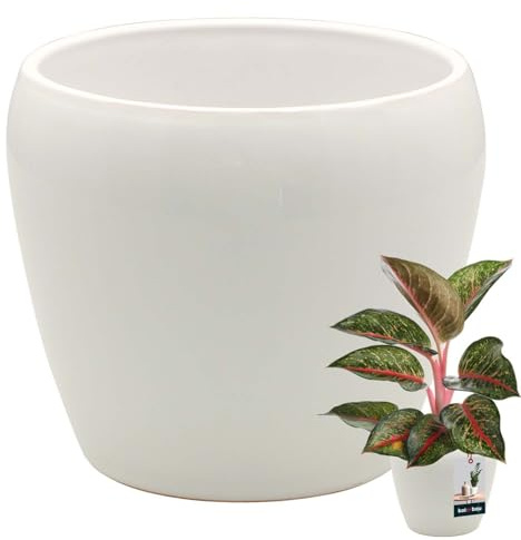 KOTARBAU® Maceta Blanca redonda interior ⌀ 12 cm H: 12 cm cerámica esmaltada Macetas interior Maceta para plantas interior Macetas para orquídeas Maceta grande Florero