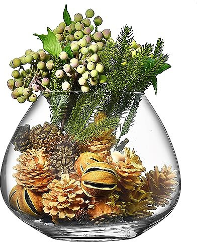 SOLAVIA Pot de fleurs en verre transparent ovale pour orchidée H 20 cm P 12 cm