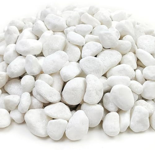 Piedra Canto rodado 10-20 mm Blanco Puro 5-10-20 Kg para decoracion exterior e interior, jardines, macetas, suelos. (Blanco puro, 10 kg)