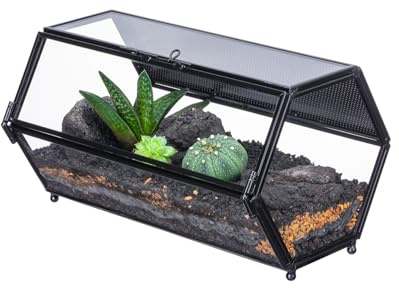 NCYP Small Glass Enclosure Terrarium with Mesh & Door for Tiny Beetle - Hexagon Jumping Spiders Vented Glass Terrarium 7.87'' x 4.52'' x 3.93'', Black (Plants Not Include)
