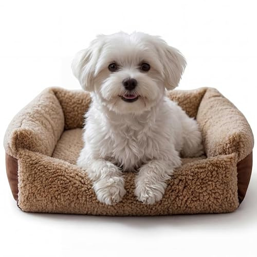 Glamuzina Group Hundebett kleine Hunde Hundehöhle kleine Hunde 50x36x18 cm – Katzenbett flauschig & Hundebett waschbar – Hundehaus für drinnen für kleine Hunde und Katzen