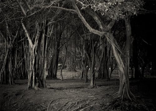 CORFOTO 5x4ft Toile de Fond de Bois Sombre, arrière-Plan de Photographie de forêt Sombre, Halloween, Horrible forêt, Toile de Fond effrayante, Nuit, fête d'halloween, de Portrait d'halloween