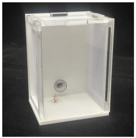 AMULONG Zuchtbox, Transport, Acryl Reptil Zucht Box Insekten Inkubator for Orchidee Mantis Futterkoffer