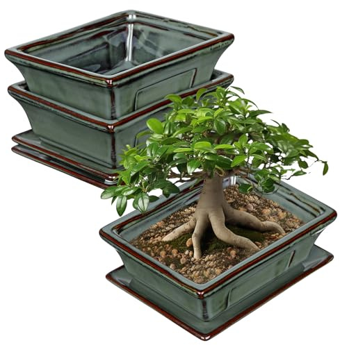 Oairse Set of 2 Bonsai Pots Shallow Succulent Planters for Live Bonsai Trees, 16cm Ceramic Plant Pot for Succulents Indoor with Drainage Hole, Outdoor Cactus Plant, Dark Green Ceramic Flower Pot