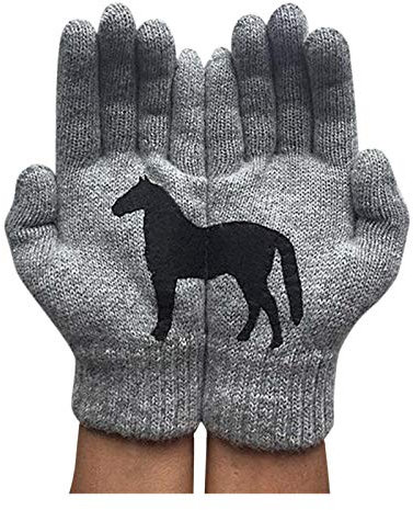 Handschuhe Herren Damen Winter Wasserdicht Winddicht Thermohandschuhe Wollhandschuhe Gefüttert rutschfest Fitness Handschuhe Softshell Partnerhandschuhe Sport Freizeit