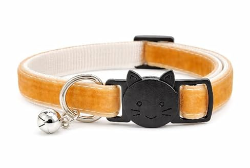 Sammet katt/kattunge halsband – säker snabbutlösning krage | justerbar för att passa de flesta inhemska katter/kattungar (välj lämplig storlek) (kaffe sammet, kattunge krage (15 cm - 23 cm)