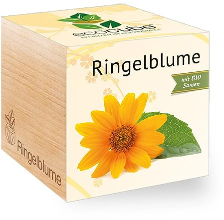 Ecocube Ringelblume, Bio Samen, Nachhaltige Geschenkidee (100% Eco Friendly), Grow Your Own/Anzuchtset, Pflanzen Im Holzwürfel, Made in Austria