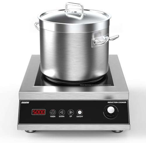 Table de cuisson à induction commerciale, plaque chauffante 5 000 W avec commande tactile et bouton LCD, minuterie, plusieurs niveaux de puissance, arrêt automatique, 220 V